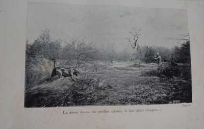 Chasses aux grands fauves pendant la traversée du continent noir du Zambèze au Congo français. 