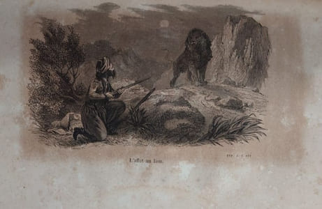La chasse au lion et les autres chasses en Algérie. Précédées d'une introduction par M. Léon Bertrand. Directeur du Journal des Chasseurs.