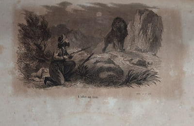 La chasse au lion et les autres chasses en Algérie. Précédées d'une introduction par M. Léon Bertrand. Directeur du Journal des Chasseurs.