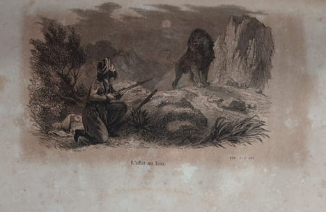La chasse au lion et les autres chasses en Algérie. Précédées d'une introduction par M. Léon Bertrand. Directeur du Journal des Chasseurs. . GERARD ...