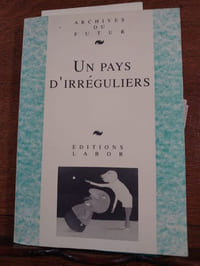 Un pays d'irréguliers. Textes et images choisis par Quaghebeur Marc, Jean-Pierre Verheggen et Véronique Jago-Antoine. 