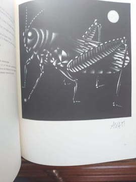 L'oeuvre gravé de Mario Avati 1968-1975. . PASSERON Roger.