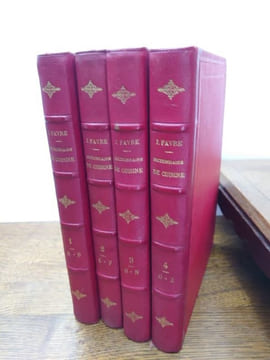 Dictionnaire universel de cuisine pratique. Encyclopédie illustrée d'hygiène alimentaire. Modification de l'homme par l'alimentation. Plus de 6000 ...