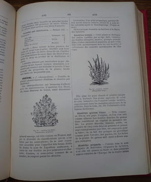 Dictionnaire universel de cuisine pratique. Encyclopédie illustrée d'hygiène alimentaire. Modification de l'homme par l'alimentation. Plus de 6000 ...