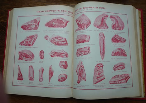 Dictionnaire universel de cuisine pratique. Encyclopédie illustrée d'hygiène alimentaire. Modification de l'homme par l'alimentation. Plus de 6000 ...