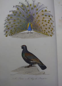Oeuvres complètes. Édition revue par M. A. Richard.