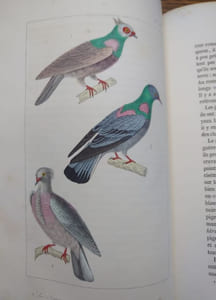 Oeuvres complètes. Édition revue par M. A. Richard.