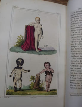 Oeuvres complètes. Édition revue par M. A. Richard. . BUFFON.