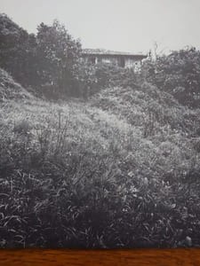Appelt, Monte Isola. 