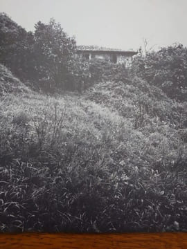 Appelt, Monte Isola. . APPELT Dieter, AUE Walter