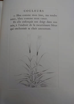 Couleurs. Contes. Illustrés par des gravures de J. E. Laboureur. . GOURMONT Remy de. 