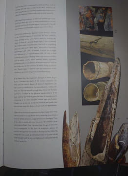 White Gold, Black Hands. Ivory sculpture in Congo. Compiled at the Congo Basin Art History Research Center. Huit volumes. . FELIX Marc Leo.