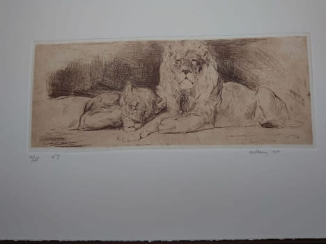 Armand Heins. 1856 - 1938. . Armand HEINS. Marcel HEINS.