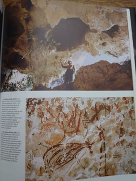 Bornéo. La mémoire des grottes. . FAGE Luc-Henri, CHAZINE Jean-Michel, CLOTTES Jean.