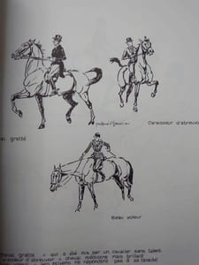 Ainsi parlent les cavaliers. 4 hors-texte en couleurs, 300 croquis.