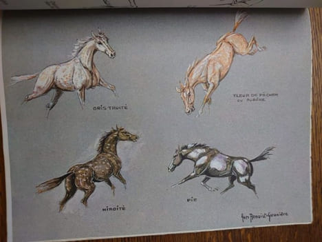 Ainsi parlent les cavaliers. 4 hors-texte en couleurs, 300 croquis. . BENOIST-GIRONIÈRE Yves.