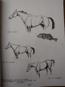 Ainsi parlent les cavaliers. 4 hors-texte en couleurs, 300 croquis.