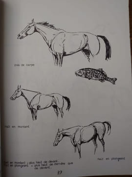 Ainsi parlent les cavaliers. 4 hors-texte en couleurs, 300 croquis. . BENOIST-GIRONIÈRE Yves.