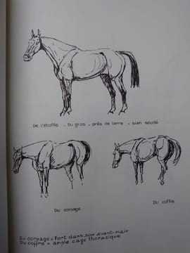 Ainsi parlent les cavaliers. 4 hors-texte en couleurs, 300 croquis. . BENOIST-GIRONIÈRE Yves.