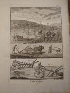Recueil des planches du dictionnaire encyclopédique de l'art aratoire et du jardinage. 