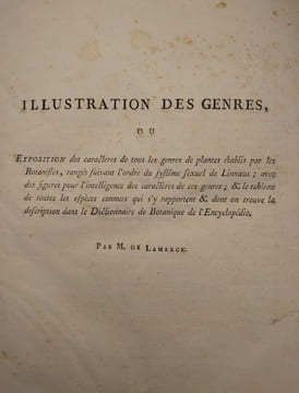 Tableau encyclopédique et méthodique des trois règnes de la nature. 1793. Lamarck. Panckouke. 