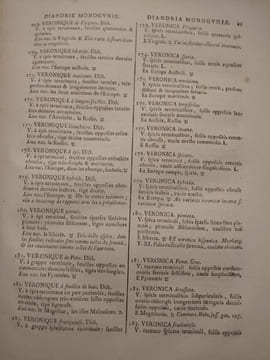 Tableau encyclopédique et méthodique des trois règnes de la nature. 1793. Lamarck. Panckouke. 