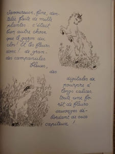 La chèvre de Monsieur Séguin. Illustrations de Laure Delvové. 