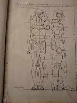 Proportions du corps humain. Extrait des Conférences de l'Académie Royale. 1683. . Testevin. Girard Audran.