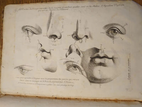 Proportions du corps humain. Extrait des Conférences de l'Académie Royale. 1683. . Testevin. Girard Audran.