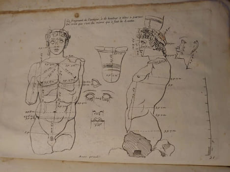 Proportions du corps humain. Extrait des Conférences de l'Académie Royale. 1683. . Testevin. Girard Audran.