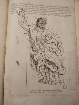 Proportions du corps humain. Extrait des Conférences de l'Académie Royale. 1683. . Testevin. Girard Audran.