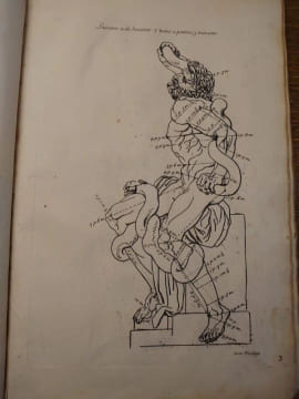 Proportions du corps humain. Extrait des Conférences de l'Académie Royale. 1683. . Testevin. Girard Audran.