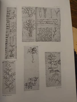 The notebooks of Leonardo da Vinci. Compiled and edited from the original manuscripts by Jean Paul Richter. With over 700 illustrations. . LEONARD DE ...