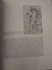 The famous italian drawings of the Royal Library of Turin. 