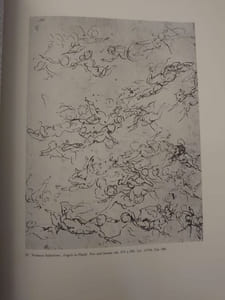 The famous italian drawings of the Royal Library of Turin. 