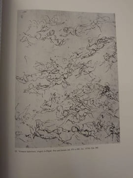 The famous italian drawings of the Royal Library of Turin. . ANDREINA GRISERI.