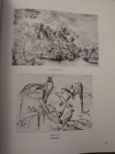 Dictionnaire technique et critique du dessin.