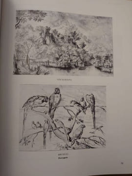 Dictionnaire technique et critique du dessin. . ANDRÉ BEGUIN.