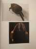 The Power of Headdresses. . DANIEL P. BIEBUYCK. NELLY VAN DEN ABBEELE. 