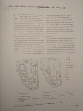 Djenné ville millénaire. . BEDAUX R.M.A., van der WAALS J.D.