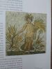 La Mosaïque en Tunisie. Préface de Paul Veyne. Photographies de Salah Jaber. . FANTAR M'Hamed Hassine, PICARD Gilbert-Charles, MANSOUR Seyda Ben, ...