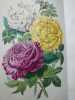 Voyage autour de mon jardin. Illustré par MM. Freeman, L. Marvy, Steinheil, Meissonier, Gavarni, Daubigny et Catenacci. . ALPHONSE KARR. 