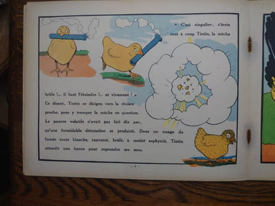 Tintin, petit poussin.
