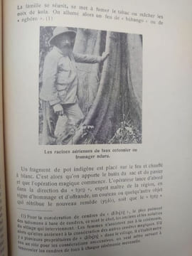 Le culte du Serpent chez les Ngbandi. . P. BASILE TANGHE.