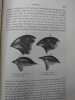Voyage d'un naturaliste autour du monde fait à bord du navire le Beagle de 1831 à 1836. Traduit de l'anglais par Ed. Barbier. Deuxième édition. . ...