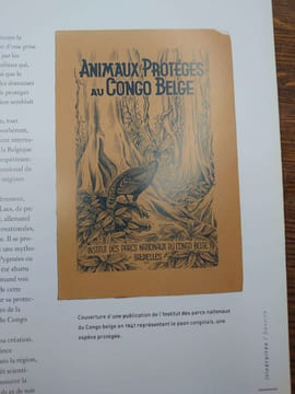 La Mémoire du Congo. Le temps colonial. Catalogue de l'exposition, tenue au Musée Royal de l'Afrique Centrale, Tervuren, février-octobre 2005. . ...
