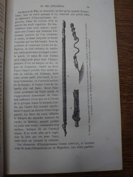 Explorations du Zambèse et de ses affluents et découverte des lacs Chiroua et Nyassa par David et Charles Livingstone 1858-1864. Ouvrage traduit de ...