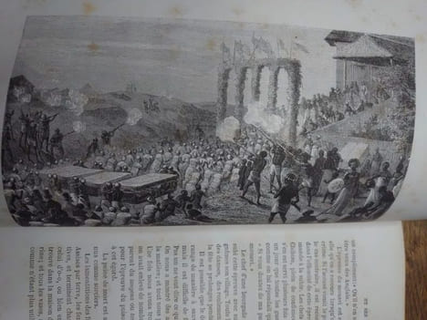 Explorations du Zambèse et de ses affluents et découverte des lacs Chiroua et Nyassa par David et Charles Livingstone 1858-1864. Ouvrage traduit de ...