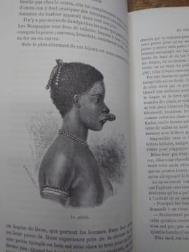 Explorations du Zambèse et de ses affluents et découverte des lacs Chiroua et Nyassa par David et Charles Livingstone 1858-1864. Ouvrage traduit de ...