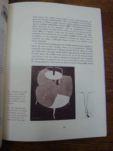 Duchamp el amor y la muerte, incluso. 